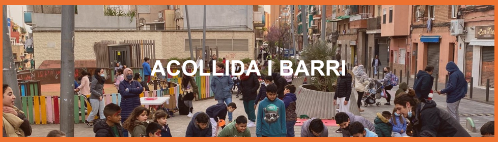 Acollida i barri web