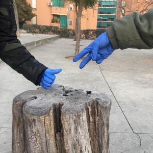 Miniatura
