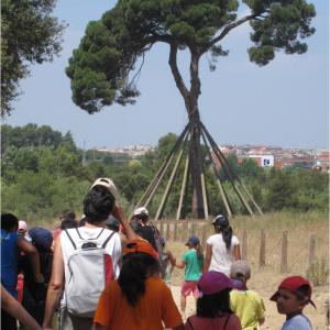 D'excursió de collserola