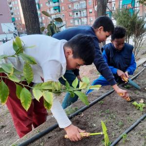 20230418 - Hort.jpg