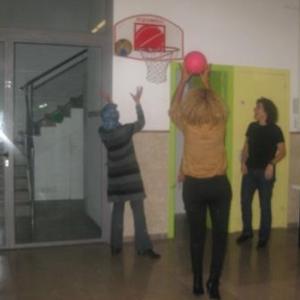 Activitats en família