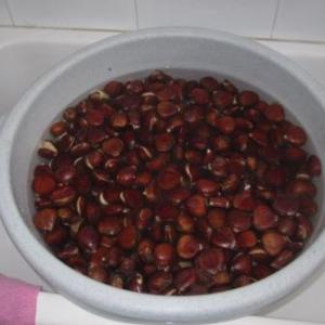 Castanyes