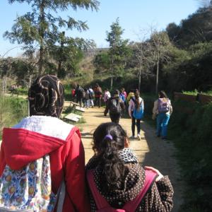Sentir la naturaleza