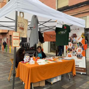 20250223 - Cursa FSA