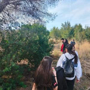 20260304 - GeocachingA100.jpeg