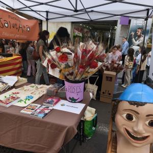 20260429 - Sant Jordi.jpg