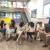20230529 - centres educatius.jpg